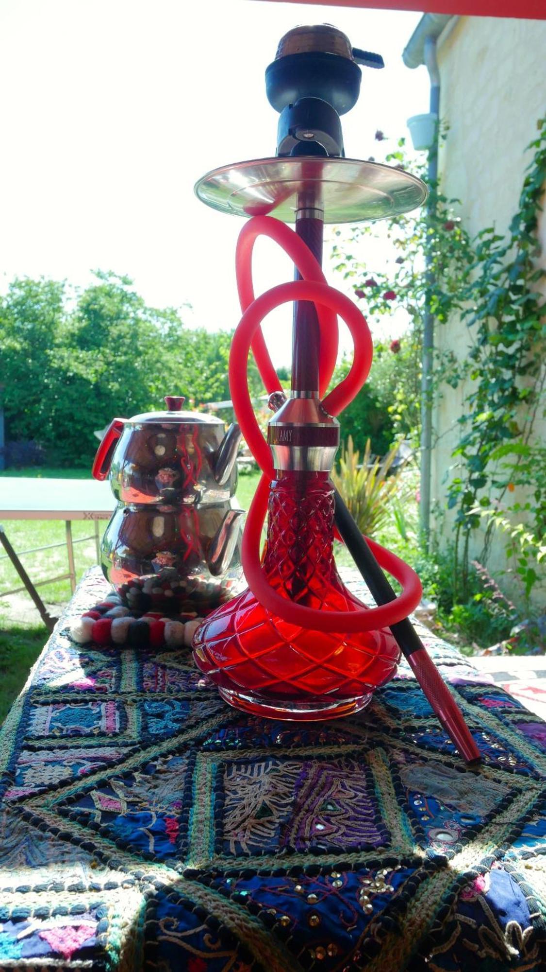 Les Jardins D'Ispahan Prignac-et-Marcamps Экстерьер фото